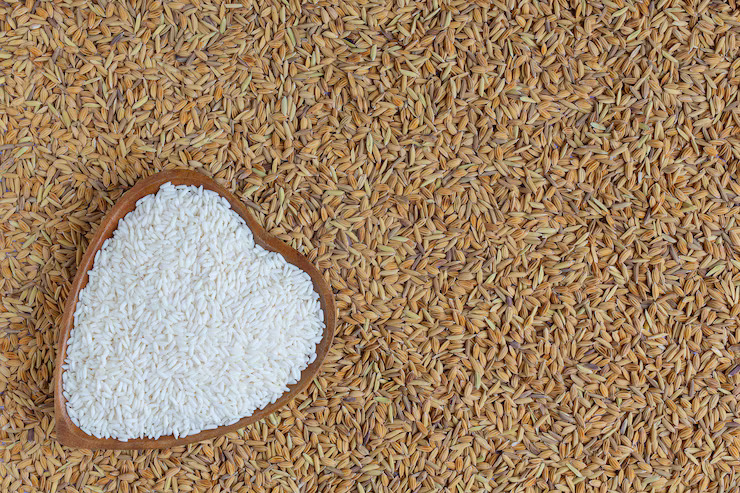 Rice grains